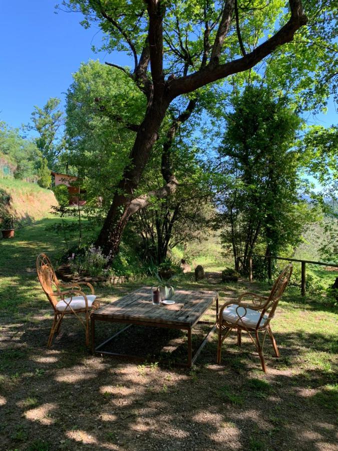 Marziani Rustic Tuscan House Капаннорі Екстер'єр фото